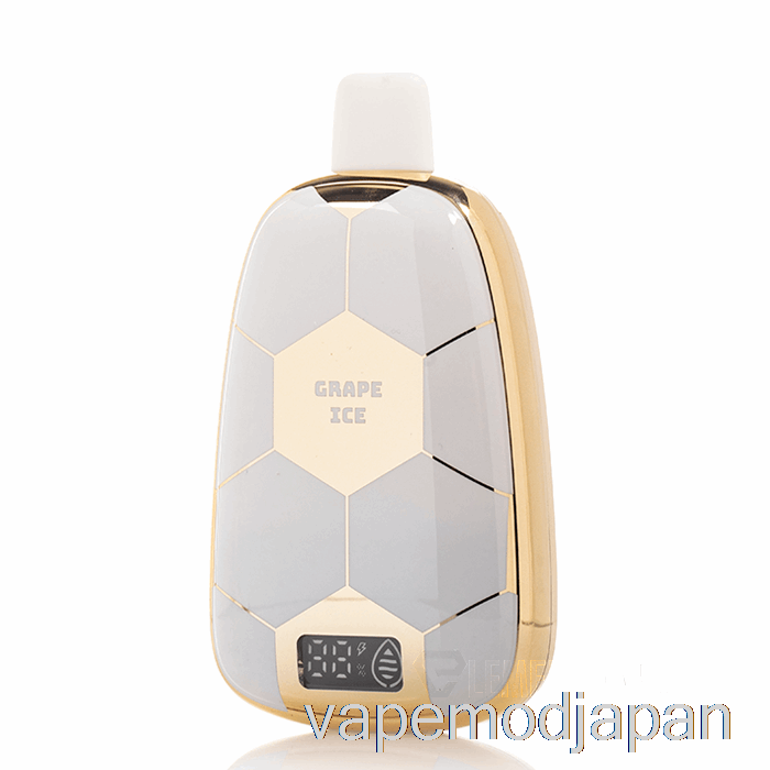 VAPE MOD ロナウジーニョ 10 15K 使い捨てグレープアイス